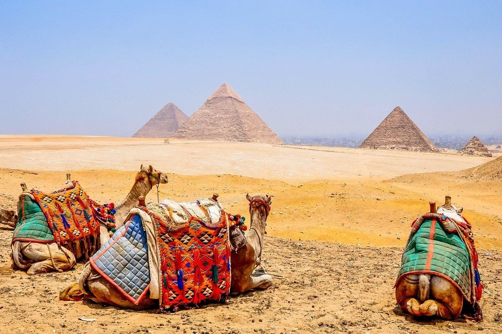 رحلة إلى أهرامات الجيزة والمتحف المصري الكبير