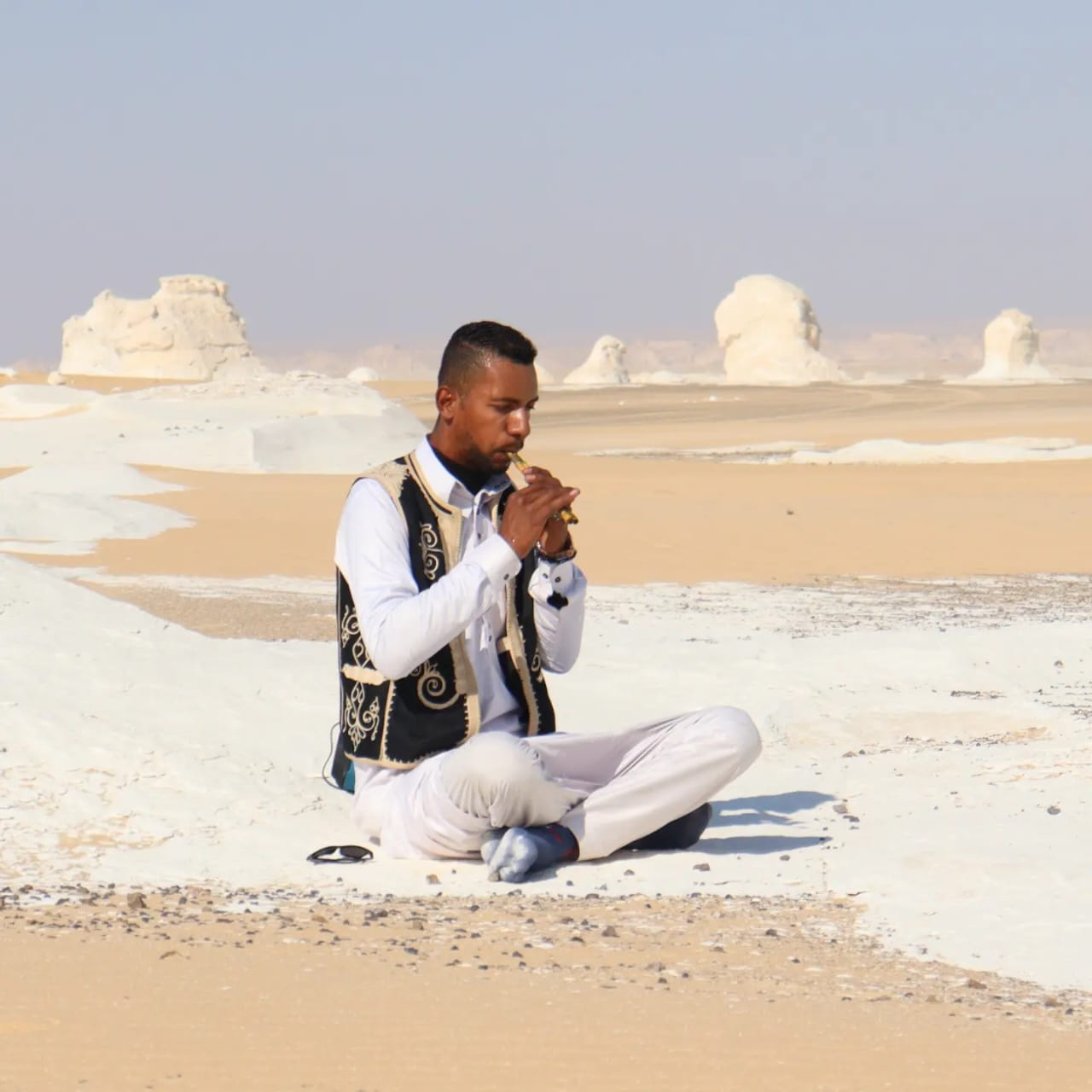 4 Days Tour to the white desert and Wadi el Hitan from Cairo