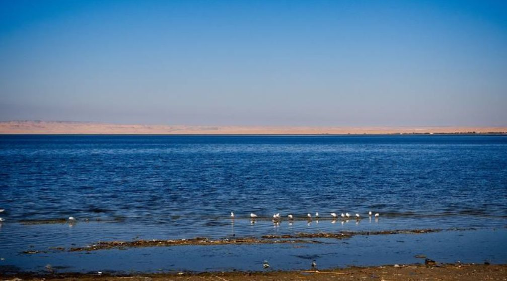 4 Days Trip to wadi el Hitan and El Minya with Drop off in Luxor 4 Days Trip to wadi el Hitan and El Minya with Drop off in Luxor