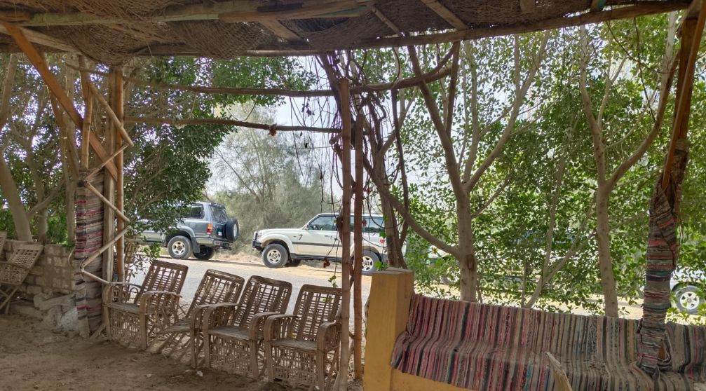 4 Days Trip to wadi el Hitan and El Minya with Drop off in Luxor 4 Days Trip to wadi el Hitan and El Minya with Drop off in Luxor