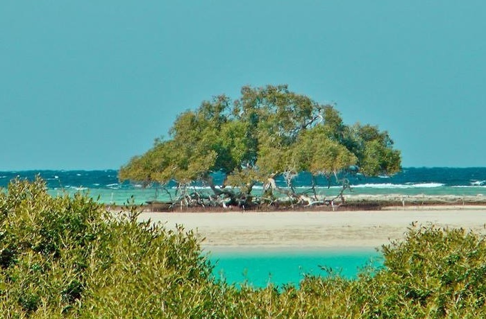 8 Days tour Package Marsa Alam and Nile cruise