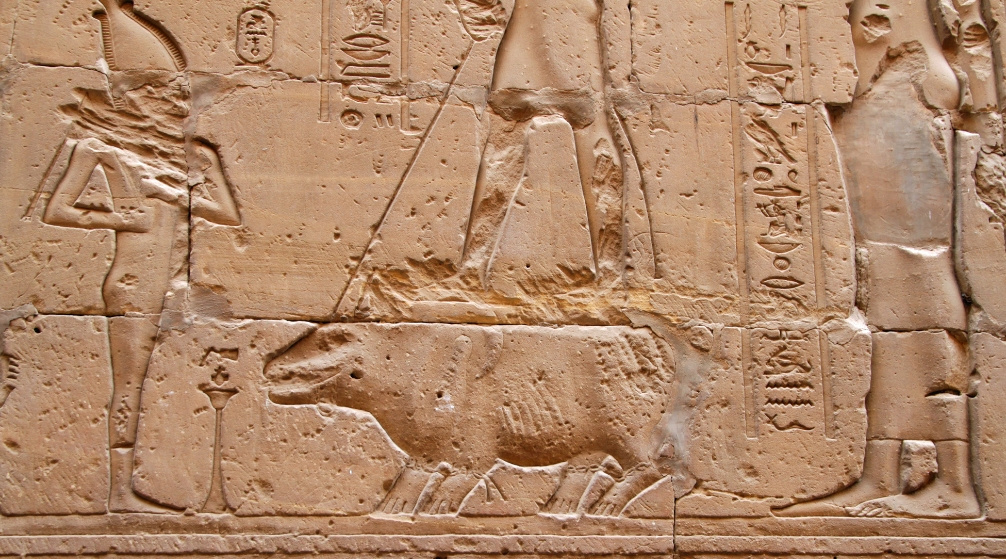 Day tour to Edfu temple and Kom Ombo temple from Luxor
