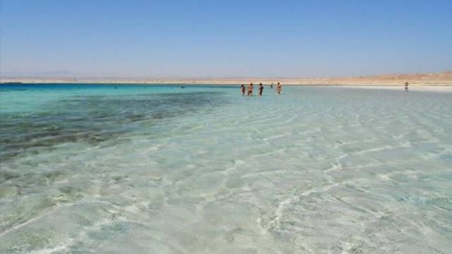 Half day Sharm El Luli snorkeling tour from Marsa Alam