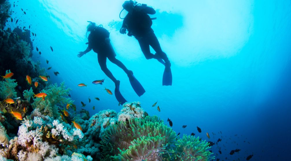Hamata Islands snorkeling Trip From Port Ghalib