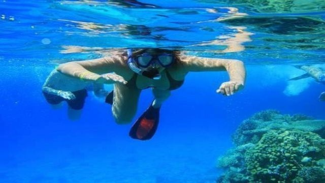 Hamata island Private boat Tour from El Quseir