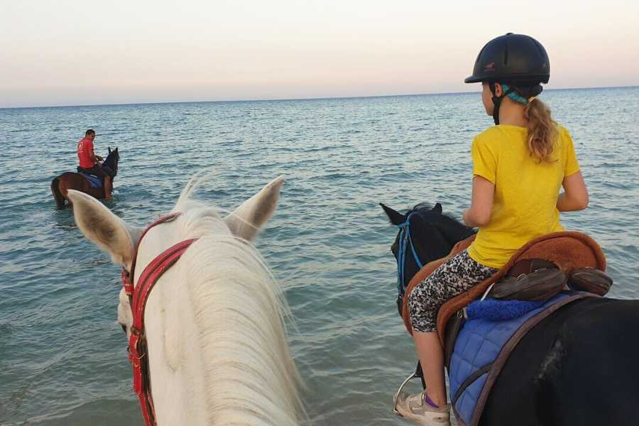Horse riding trips from Hurghada