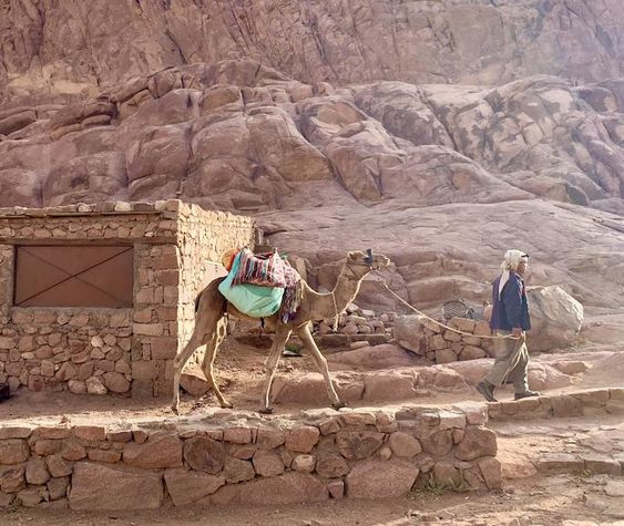 Mount Sinai tours from Cairo