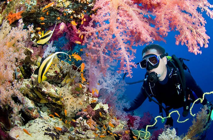 PADI diving course from Marsa Alam