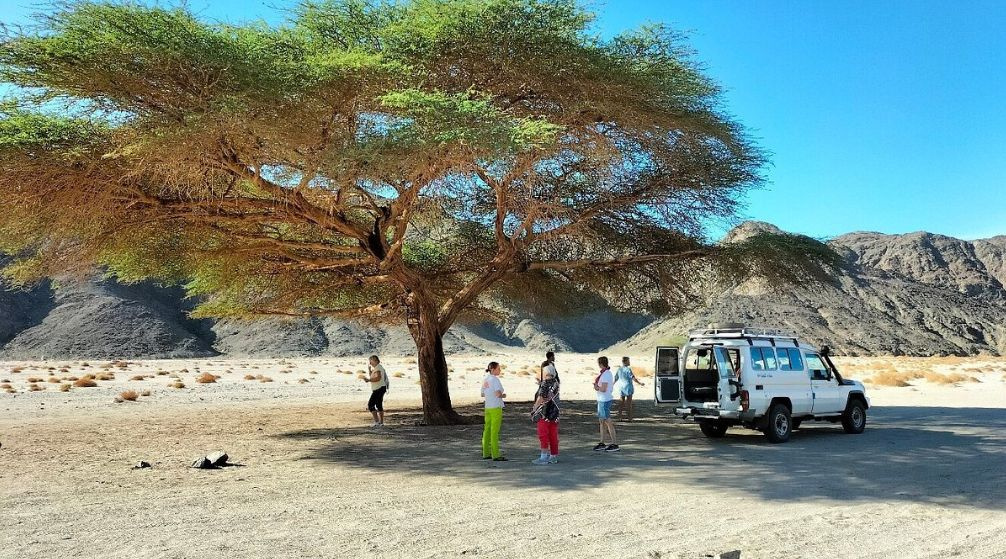 Private Excursion from Marsa Alam to wadi El Gemal