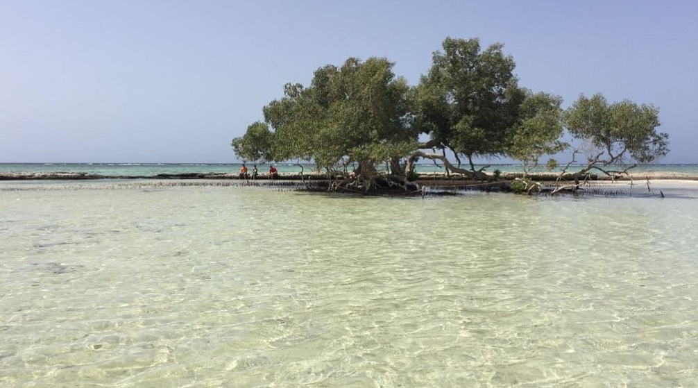 Private Tour from El Quseir to wadi El Gemal