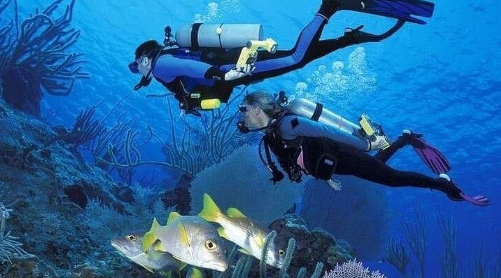 Private Tour from El Quseir to wadi El Gemal