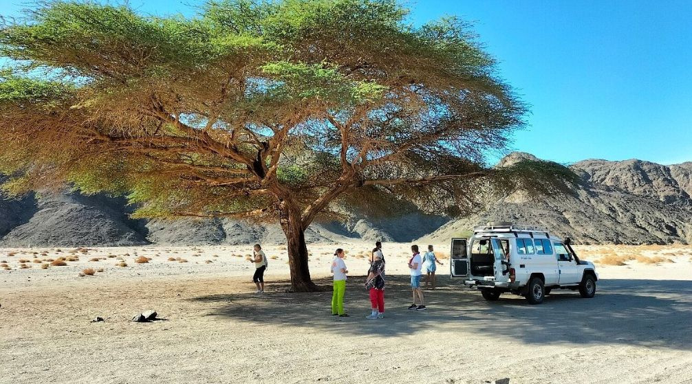 Private Tour from El Quseir to wadi El Gemal