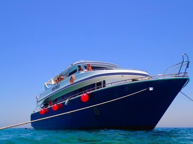 Private boat tour from Marsa Alam to Shaab Samadai