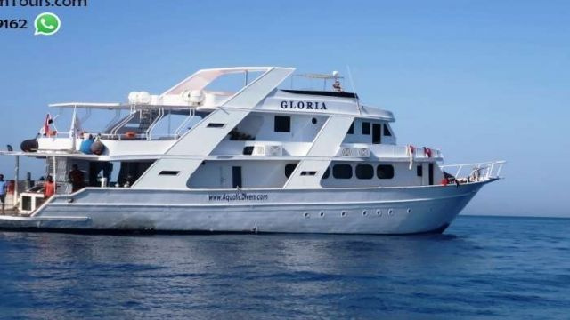 Satayh Dolphin Reef Private boat Tour from El Quseir