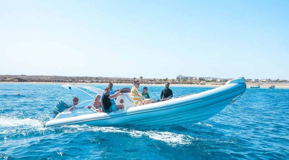 Search for the Dugong in Marsa Alam by Speed Boat