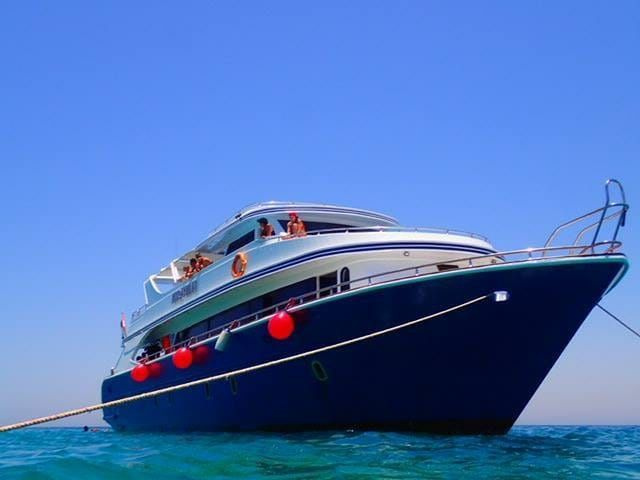 Shaab Samadai Private boat Tour from El Quseir