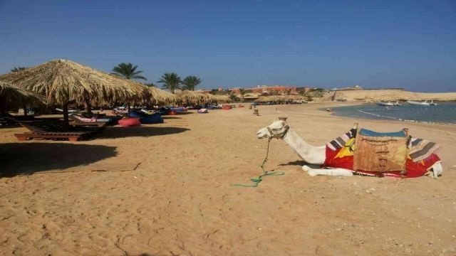 Sharm el Naga Snorkeling Trip from Soma Bay