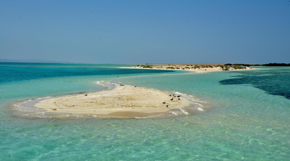 Snorkeling trip to Sharm el Lulli and wadi El Qulaan from Marsa Alam