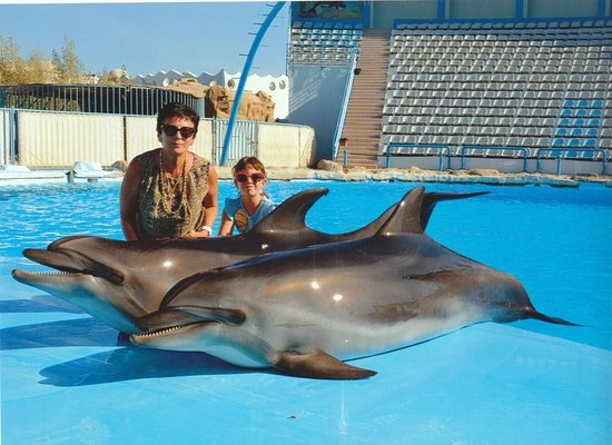 Swim with Dolphins from Safaga Port