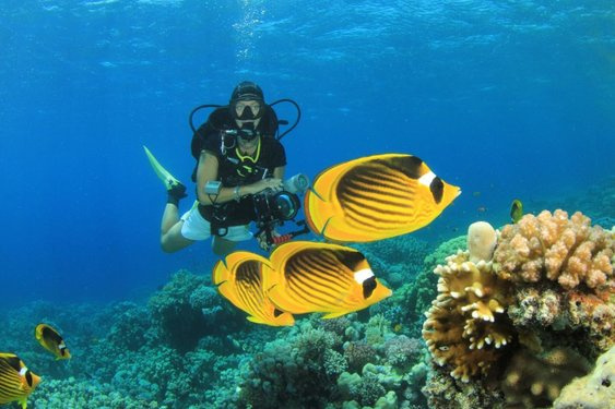 Things to Do in Marsa Alam