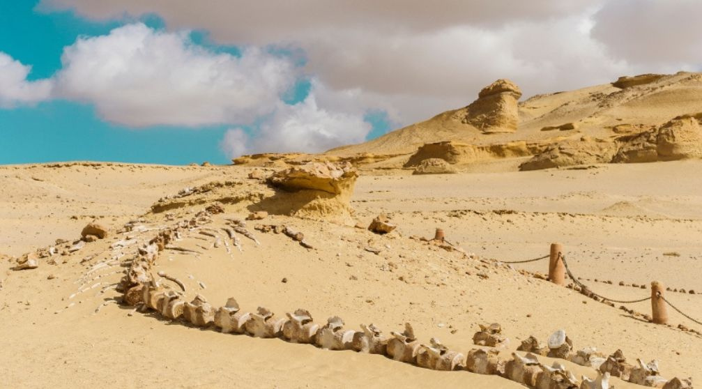 15 tägige Ägypten Rundreise mit Rotem Meer