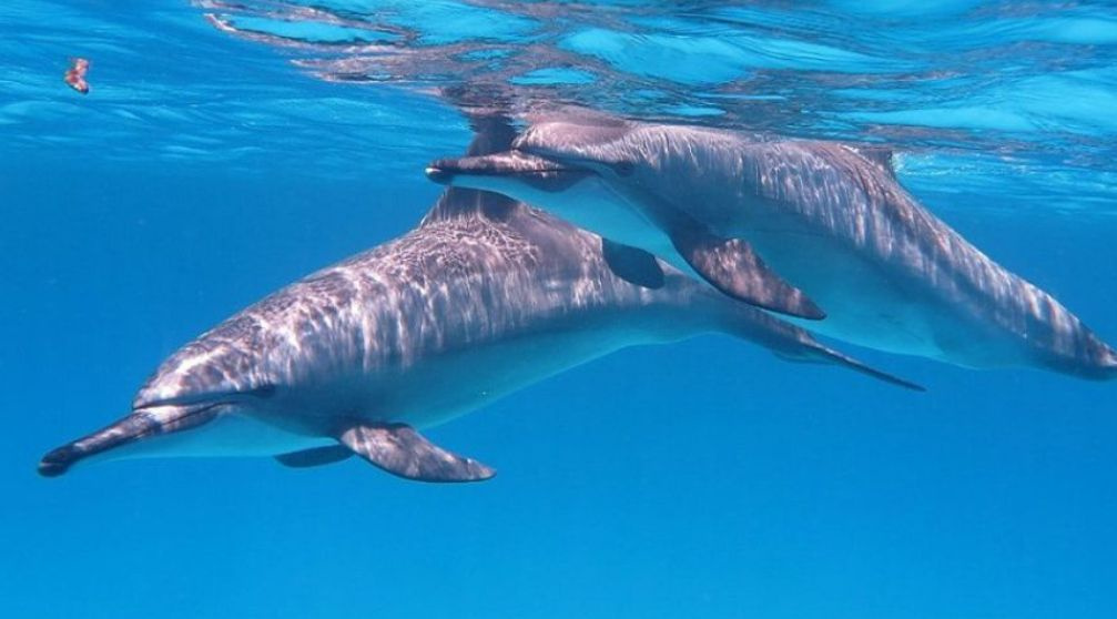 Die beste Ägypten Reiseroute (11 Tage)