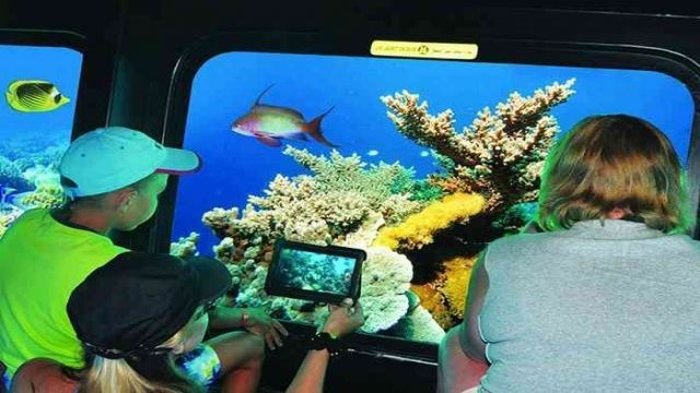 Halb-U-Boot-Tour ab Soma Bay Halb U Boot Tour ab Soma Bay