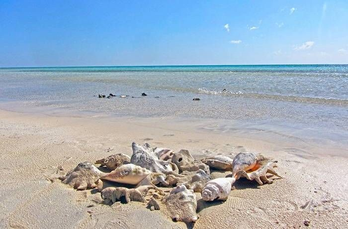 Halbtägige Sharm El Luli Schnorcheltour ab Marsa Alam