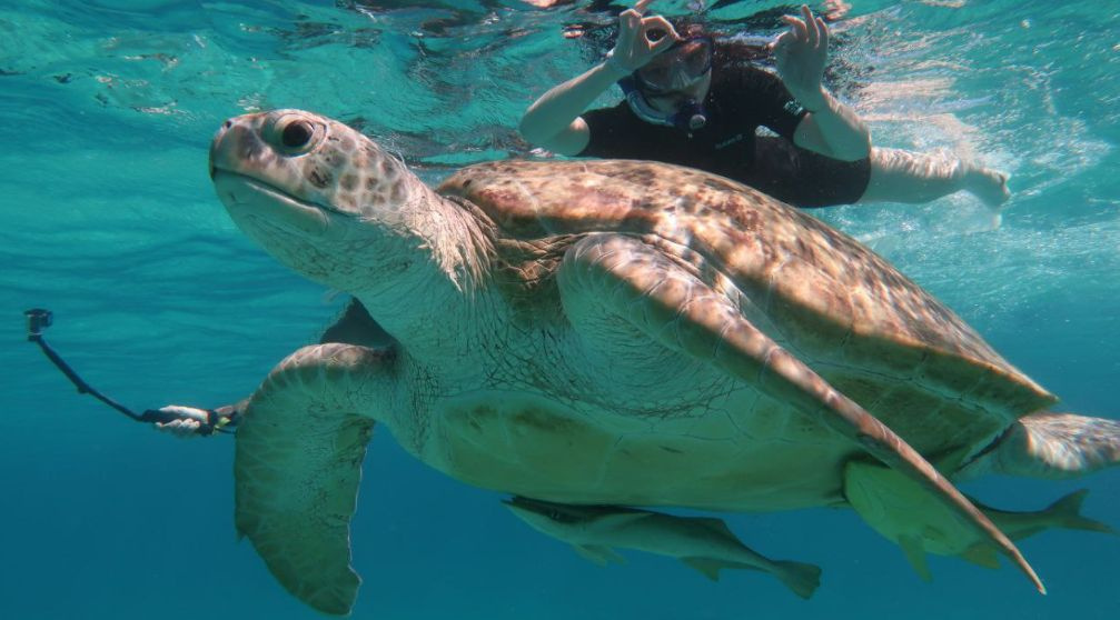 Marsa Alam Tourenpakete