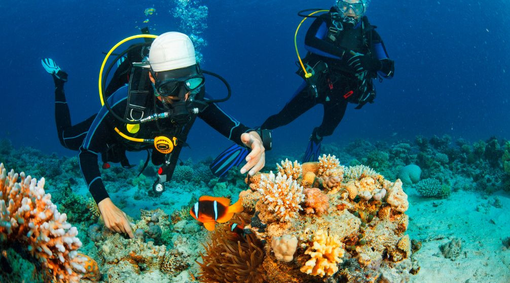 Marsa Mubarak Tauchtour ab Port Ghalib