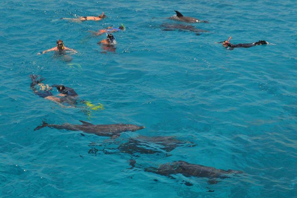 Private Bootsausflüge ab Marsa Alam