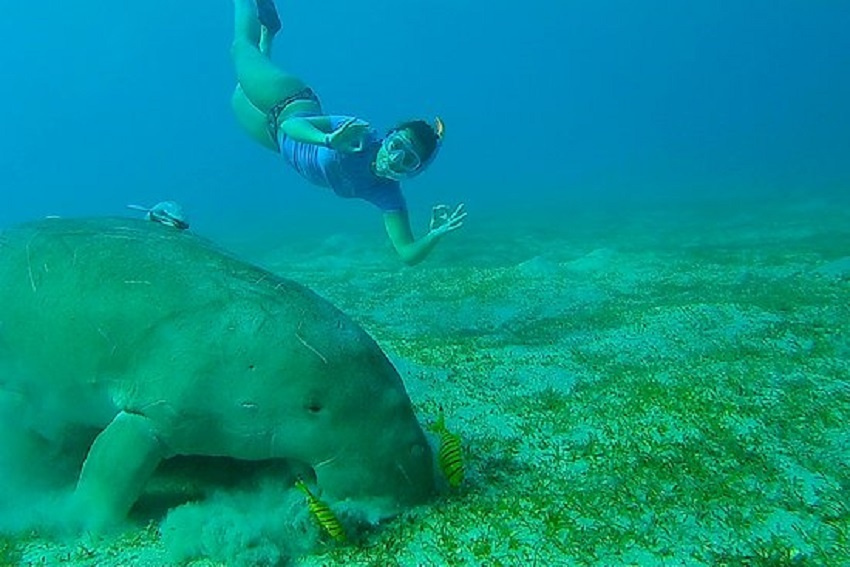 Private Bootsausflüge ab Portghalib Private Bootsausflüge ab Portghalib