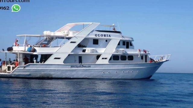 Privater Bootsausflug zum Satayh Dolphin Reef ab Port Ghalib