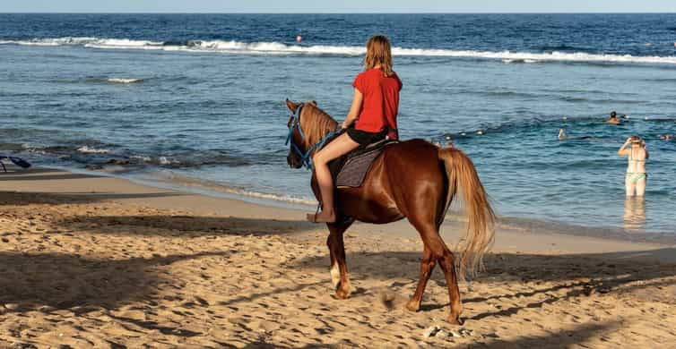Reitausflüge ab Hurghada