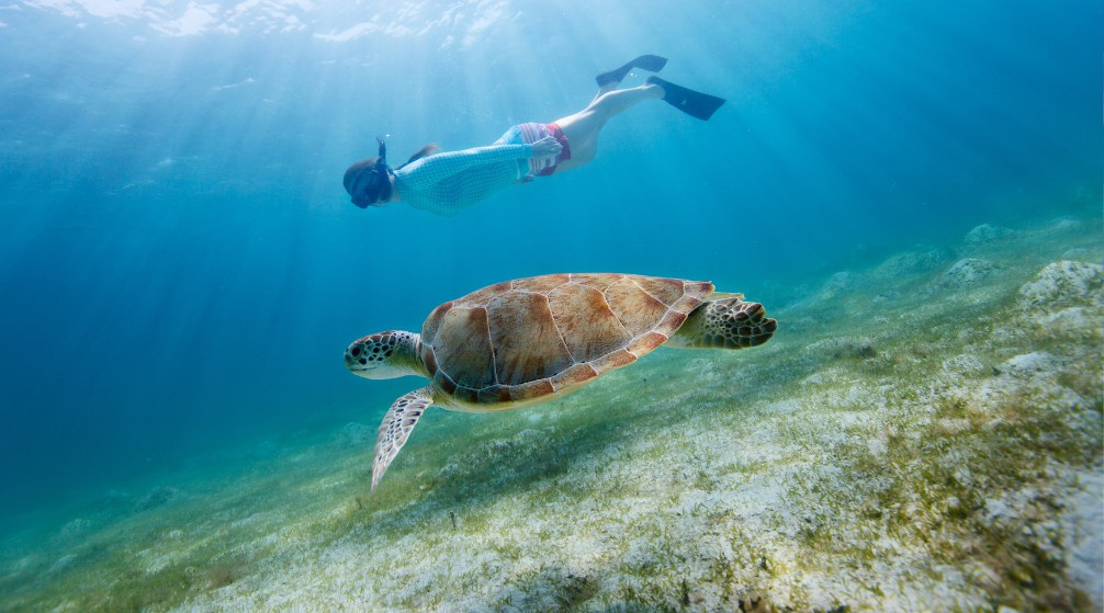 Shaab Samadai Schnorchelausflug von Marsa Alam