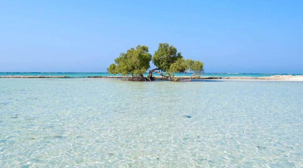 Sharm el Lulli und Wadi El Qulaan Schnorchel Tagestour