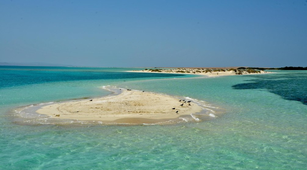 Sharm el Lulli und Wadi El Qulaan Schnorchel Tagestour