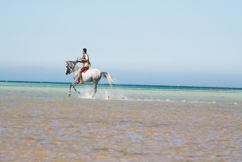 Sonnenaufgangs Reiten in Hurghada, 2 Stunden durch die Wüste und das Meer