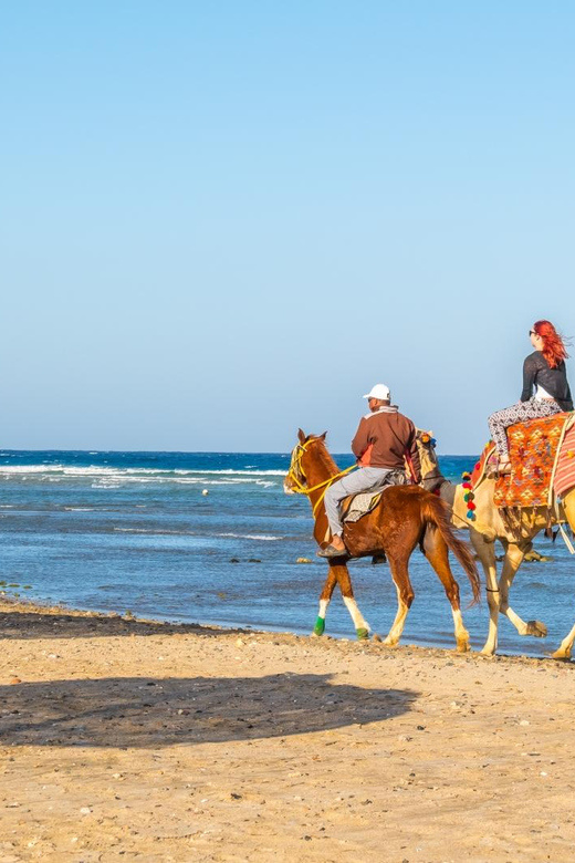 Sonnenaufgangs Reiten in Hurghada, 2 Stunden durch die Wüste und das Meer