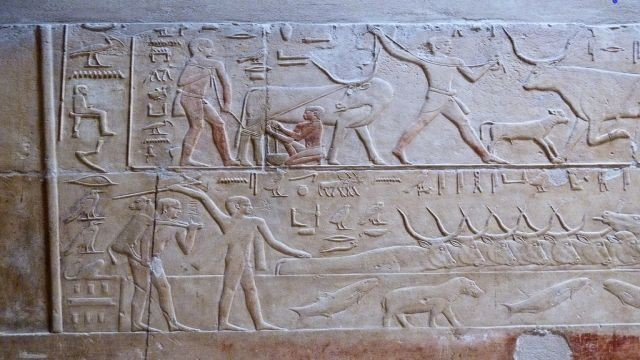 Tagesausflug nach Sakkara, Memphis und Dahschur