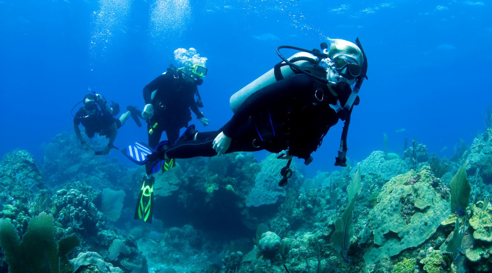 Tauchausflug bei Shaab Samadai von Marsa Alam