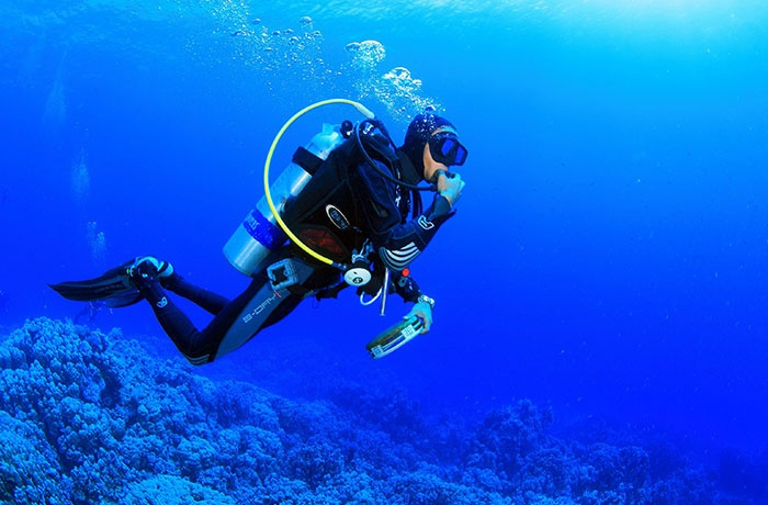 Tauchtouren ab Marsa Alam