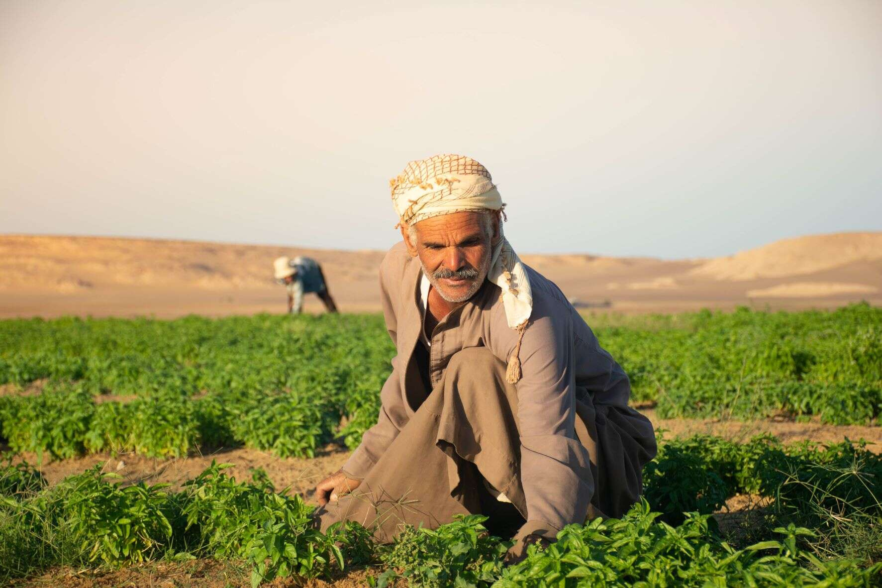 8-tägige Ägypten-Rundreisen ab Kairo