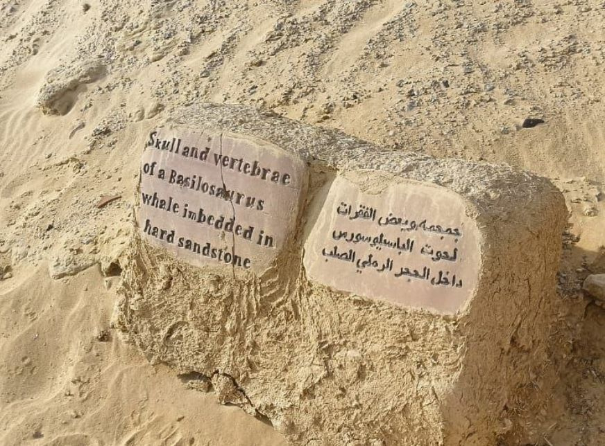 4 tägiger Ausflug nach Wadi El Hitan und El Minya mit Transfer nach Luxor