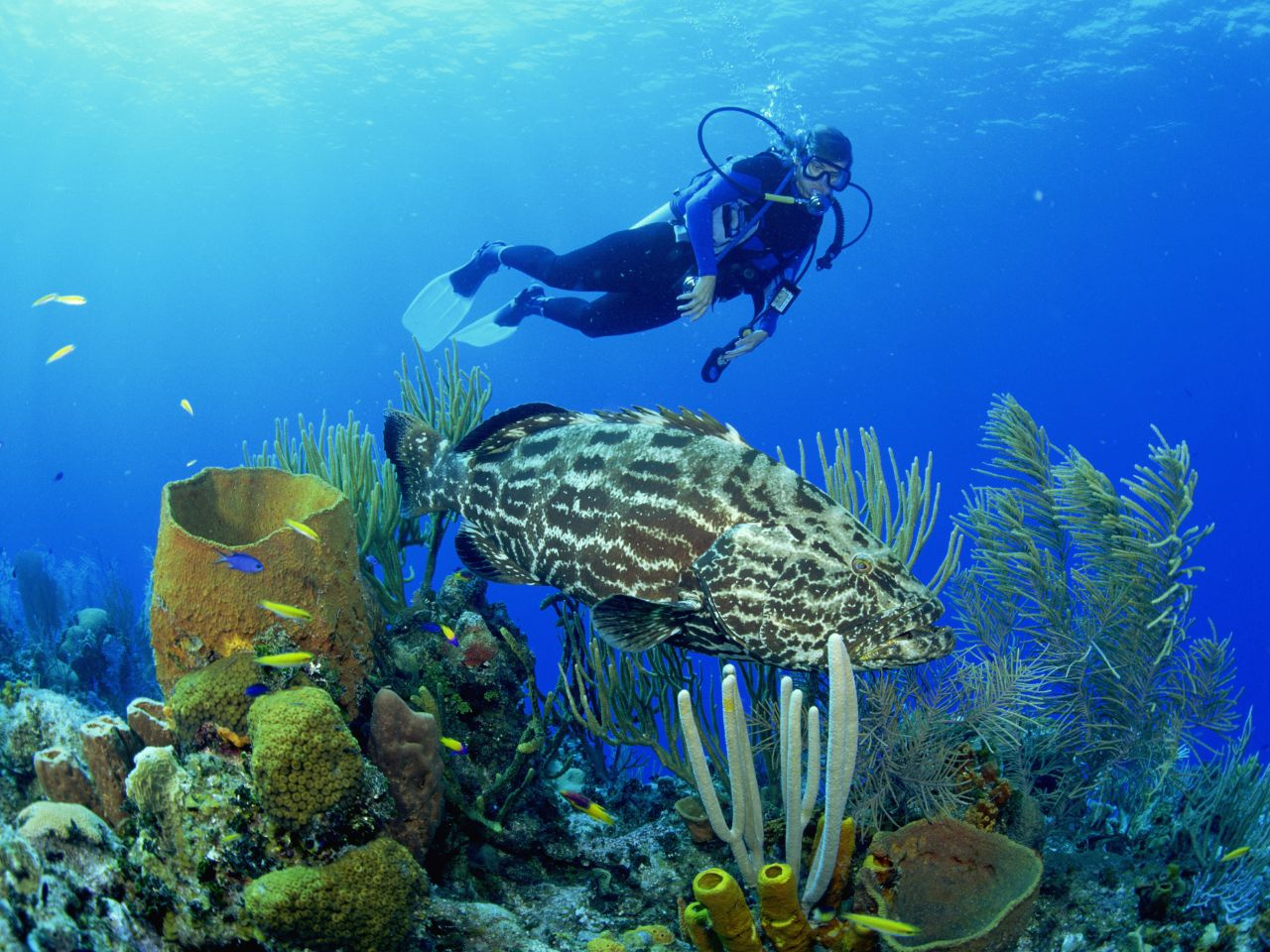 Private Bootsfahrt zur Insel Hamata von Marsa Alam