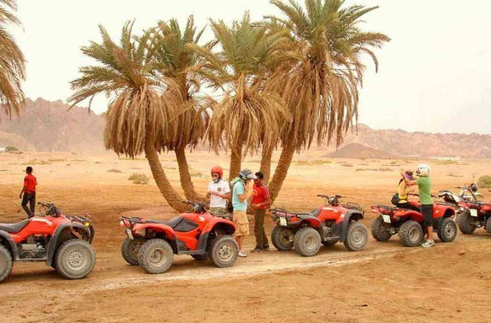 Safari-Touren ab Marsa Alam 