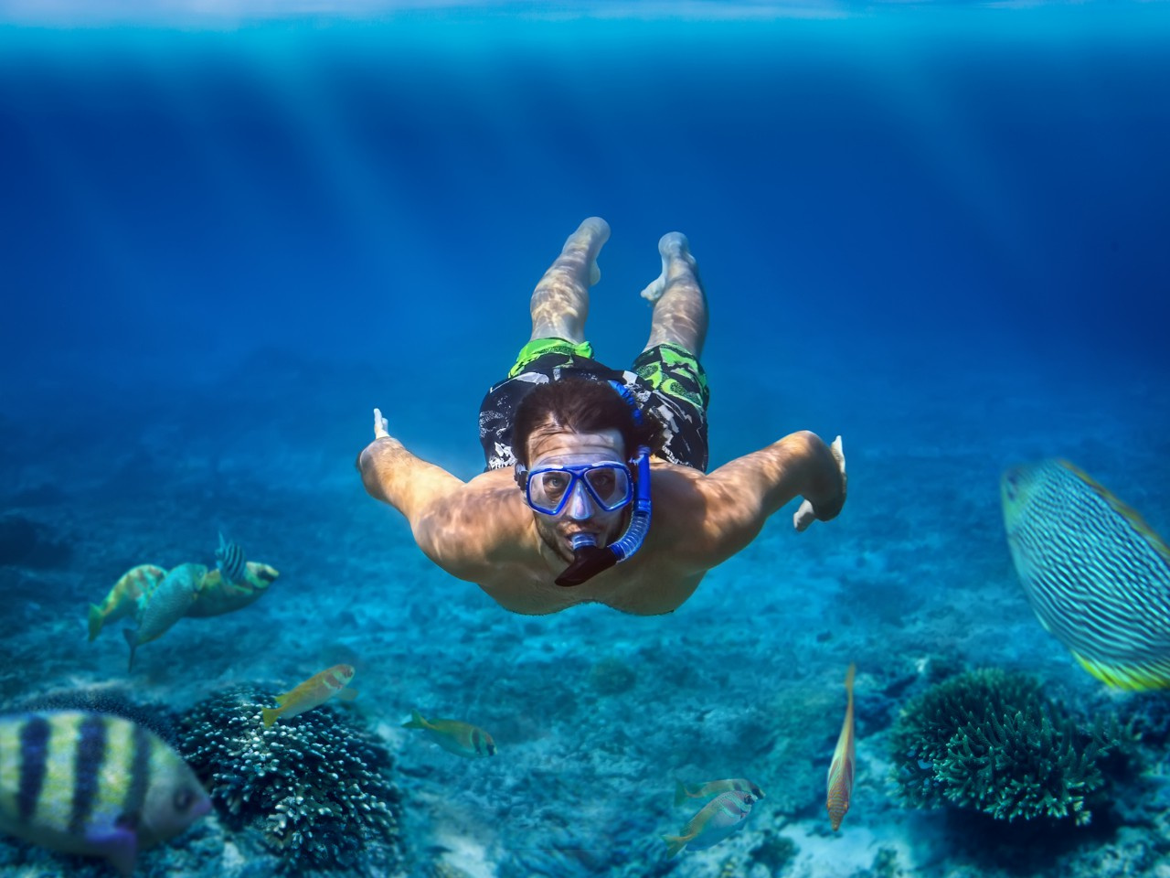 Tauchausflug bei Shaab Samadai von Marsa Alam