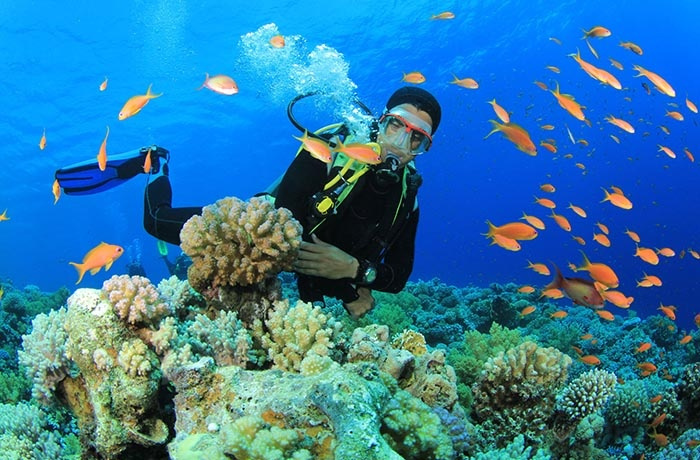  Tauchtouren ab Marsa Alam 