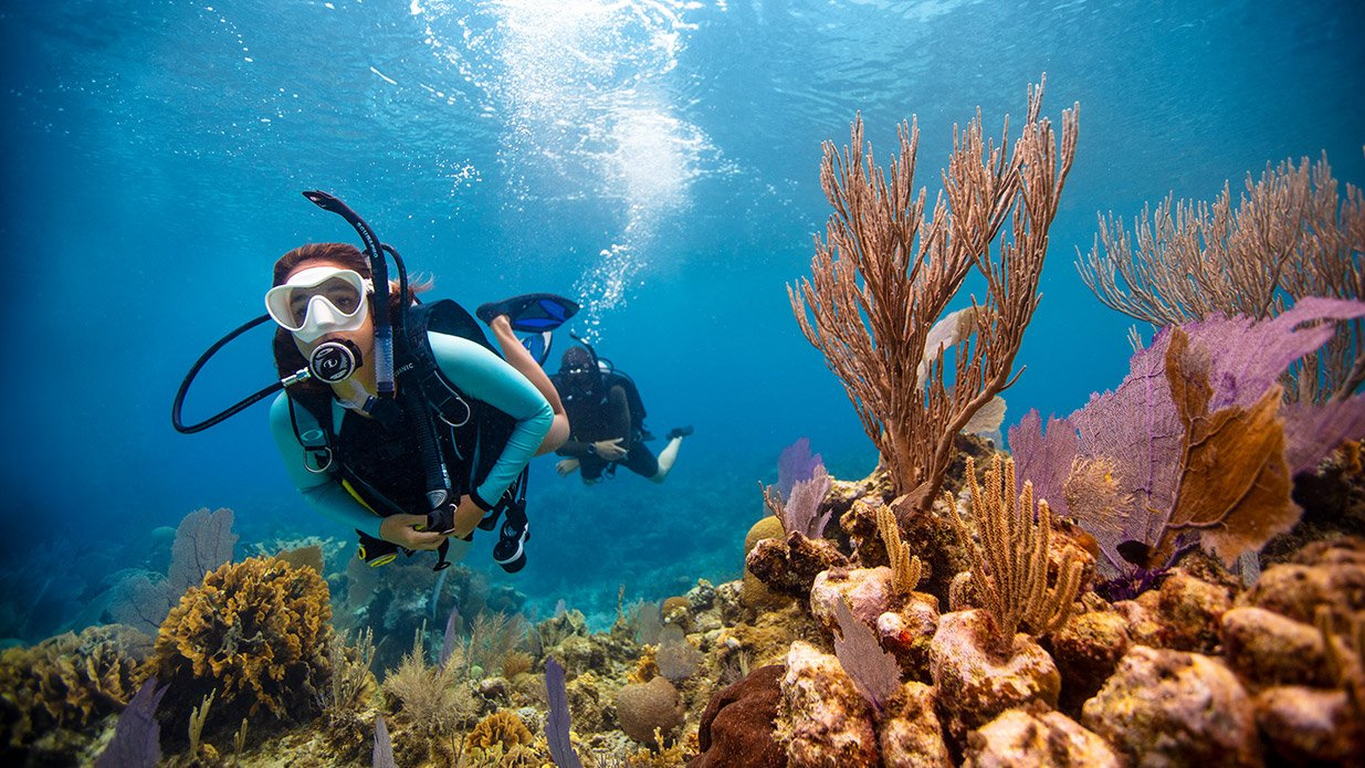 Curso de buceo PADI desde Hurghada