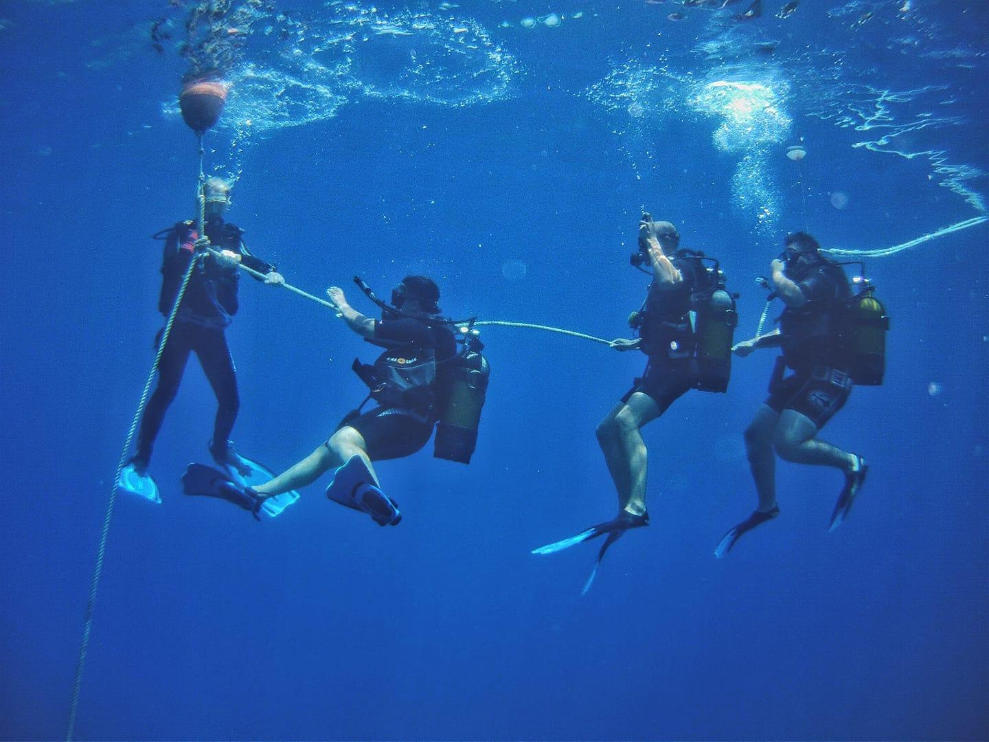 Curso de buceo PADI desde Hurghada
